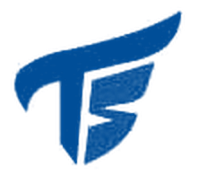 Albañiles TS